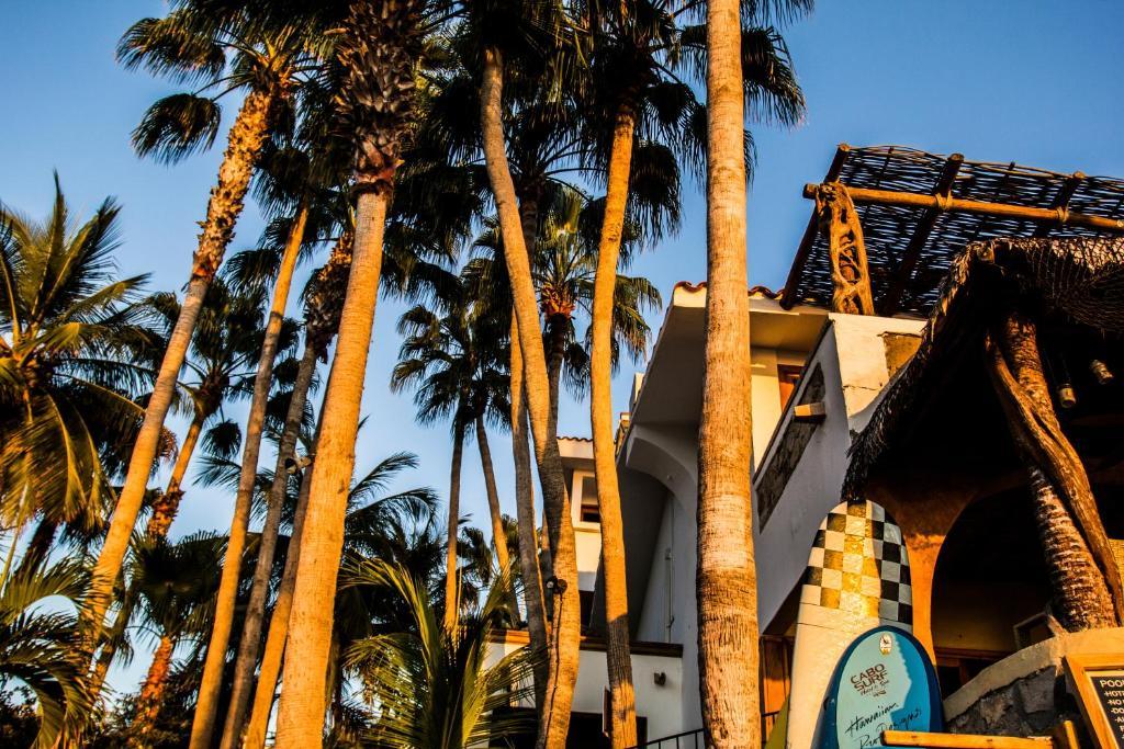 Cabo Surf Hotel San José del Cabo Exteriör bild